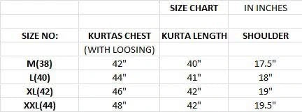 Flex Cotton Embroidered Kurta Set 4