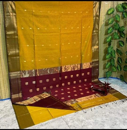 Silk Cotton Saree with Big Border 5